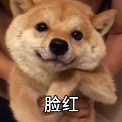 dll修复工具：全自动DLL修复工具从此告别Windows出现的错误