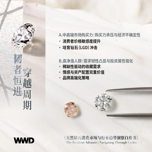 白皮书｜WWD CHINA 重磅发布《韧者恒进 穿越周期——天然钻石消费市场与行业趋势洞察白皮书