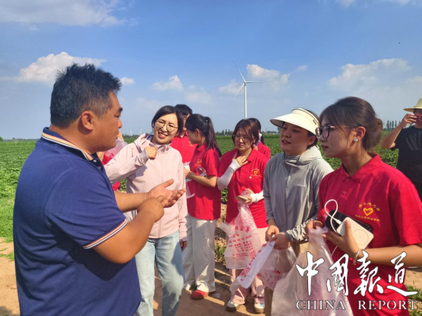 青岛工程职业学院到滨州市阳信县流坡坞镇蜜薯基地开展大学生科普实践活动