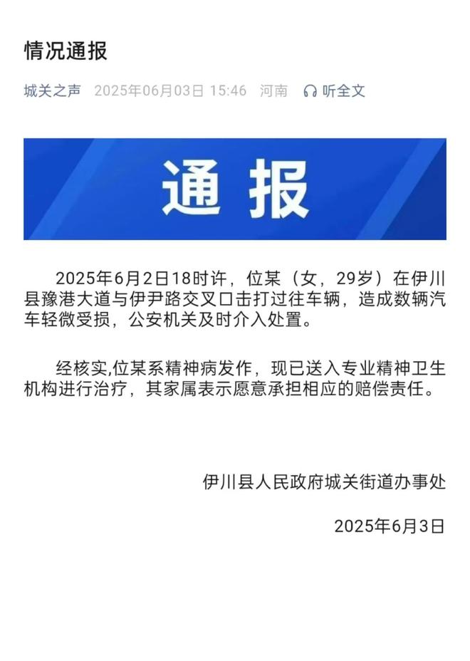 女子持械当街打砸多辆轿车官方通报：系精神病发作家属愿意承担赔偿