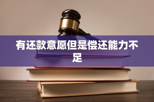 有还款意愿但是偿还能力不足