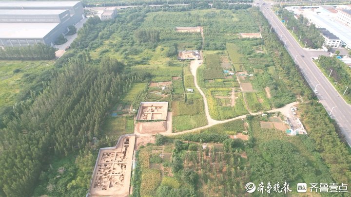 济南新发掘谢家村遗址出土完整及可复原器物120余件（组）