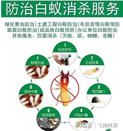 南京白蚁防治中心电话 - 南京白蚁防治消杀治理服务 - 灭白蚂蚁