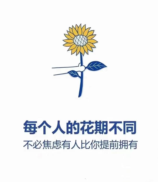 2025年产品运营职场必备能力提升技巧曝光！